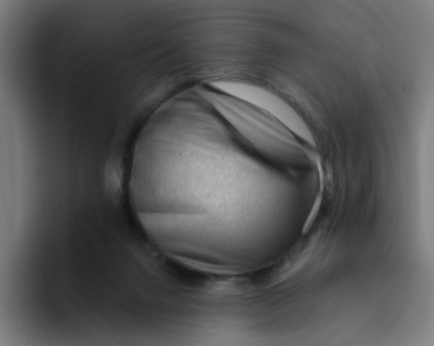 X0000094170072200711161716