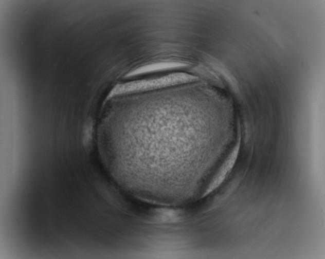 X0000094170073200711161716