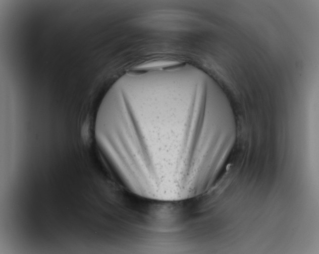 X0000094170074200711161716