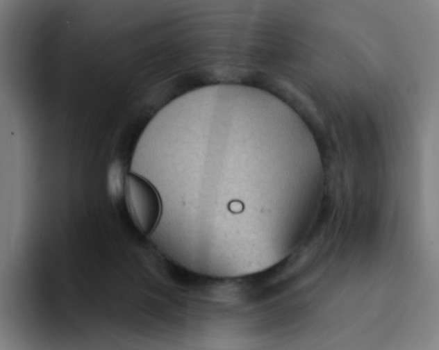 X0000094170075200711161716