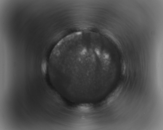 X0000094170076200711161716