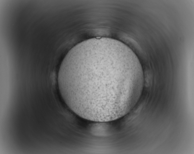 X0000094170077200711161716