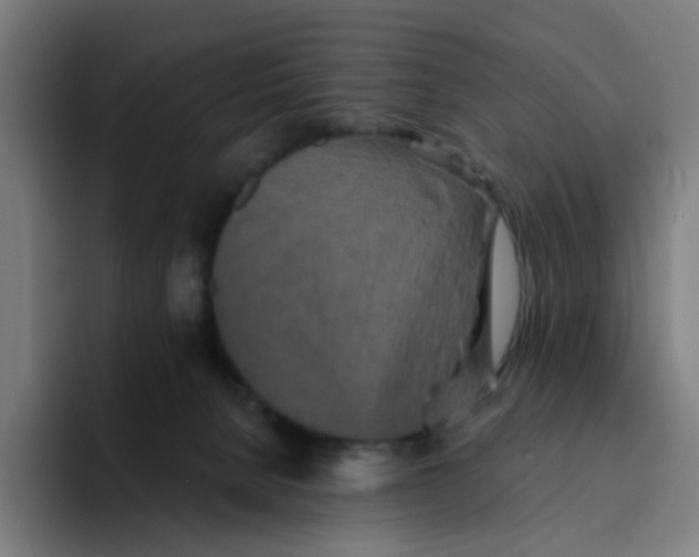 X0000094170080200711161716