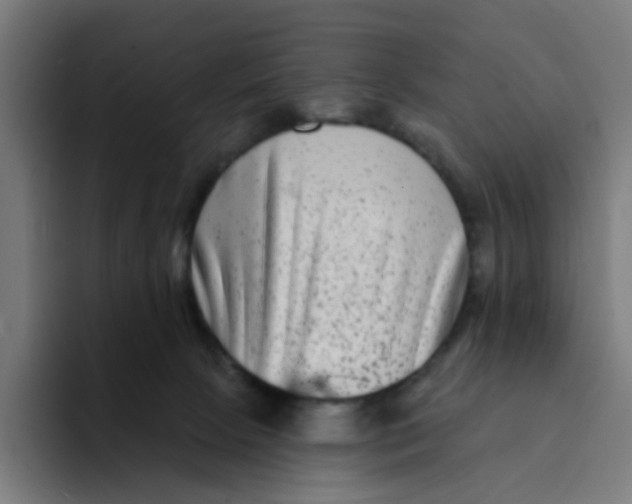 X0000094170081200711161716