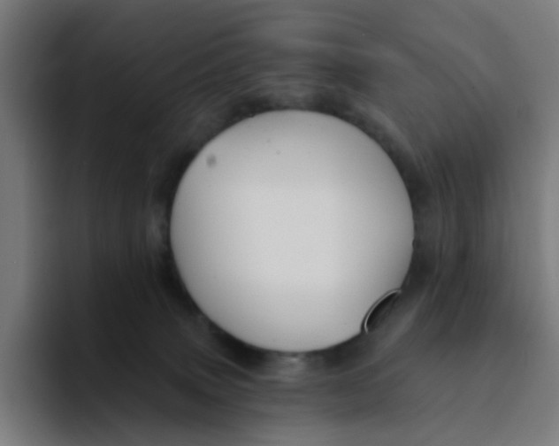 X0000094170083200711161716