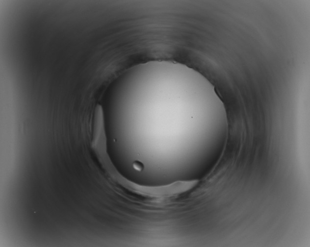 X0000094170084200711161716