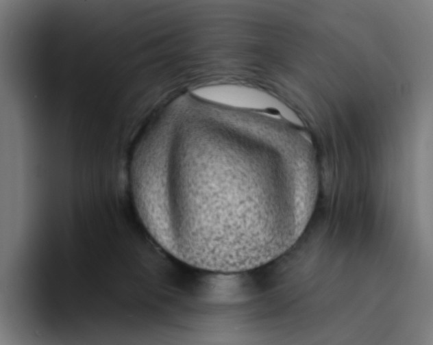 X0000094170085200711161716