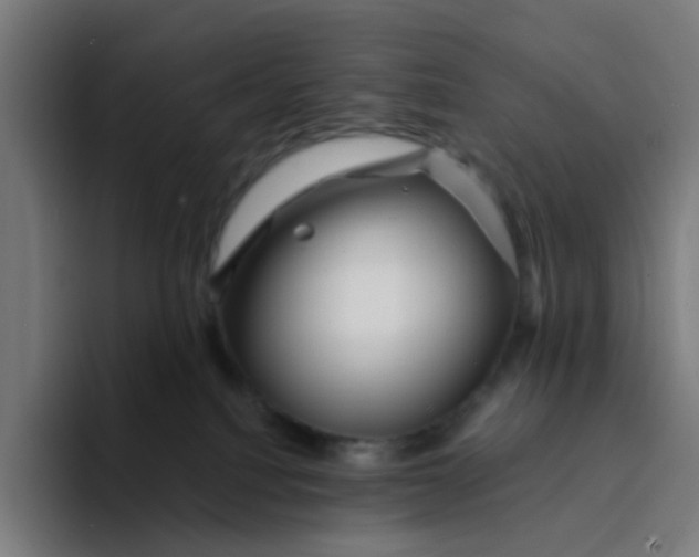 X0000094170088200711161716