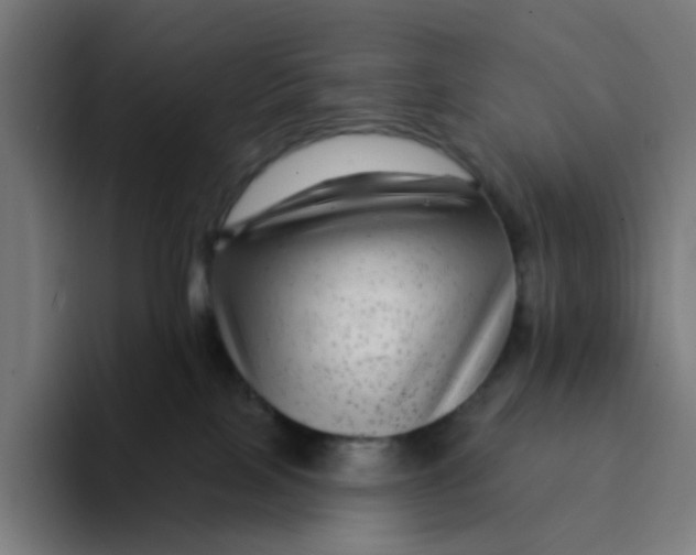 X0000094170089200711161716