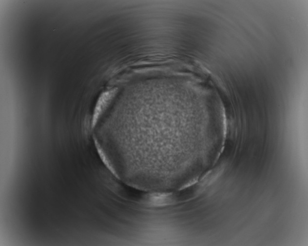 X0000094170093200711161716