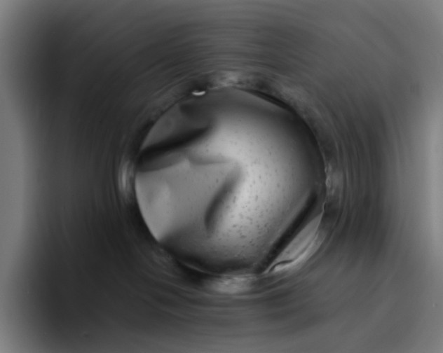 X0000094170094200711161716