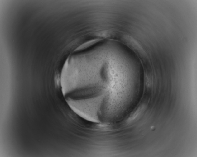 X0000094170095200711161716