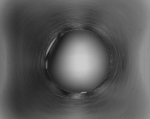 X0000094170096200711161716