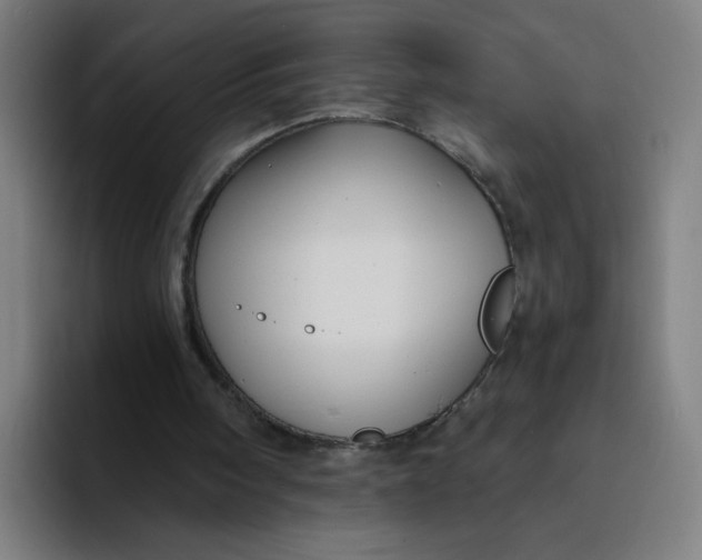 X0000094170098200711161716