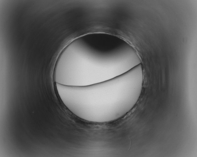 X0000094170099200711161716