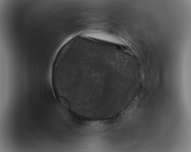 X0000094170100200711161716