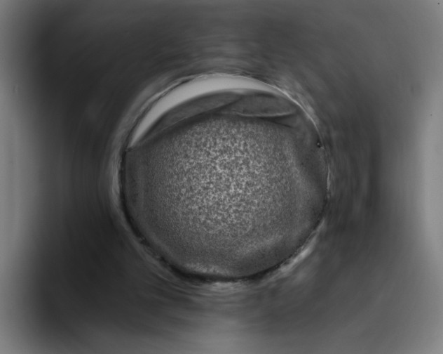 X0000094170101200711161716