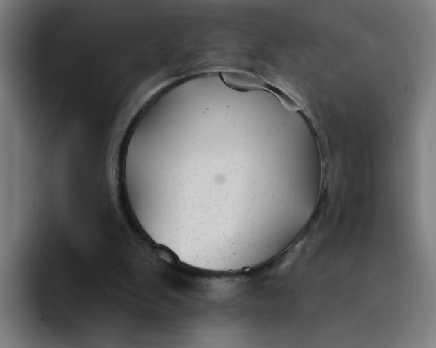 X0000094170103200711161716