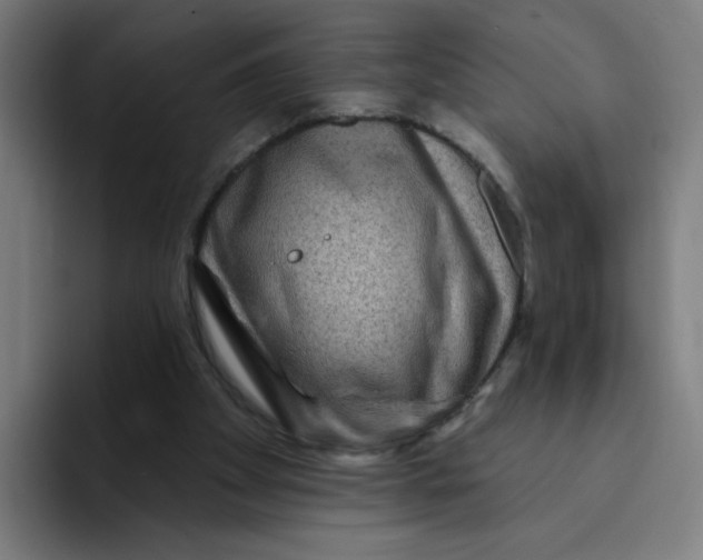 X0000094170105200711161716