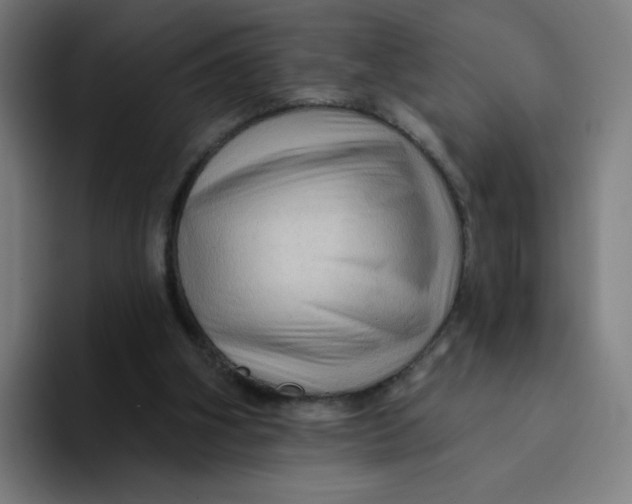 X0000094170106200711161716