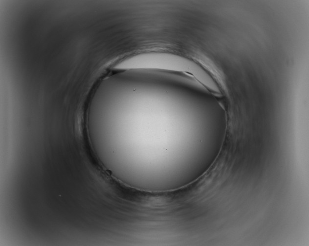 X0000094170107200711161716