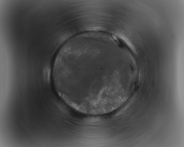 X0000094170110200711161716