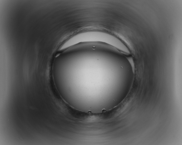 X0000094170111200711161716