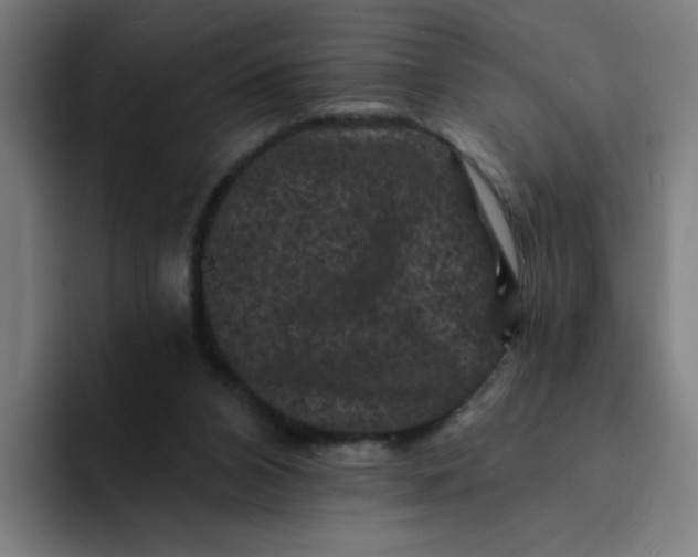 X0000094170112200711161716