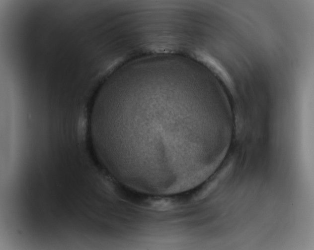 X0000094170113200711161716