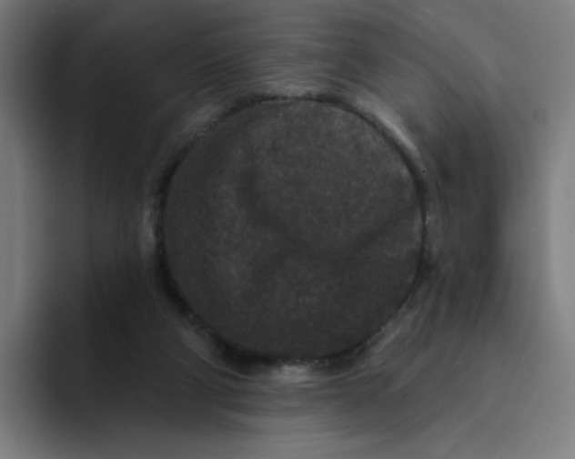 X0000094170114200711161716