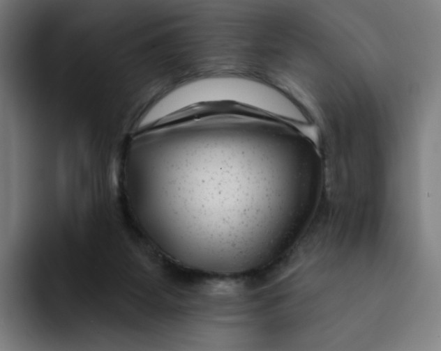 X0000094170115200711161716