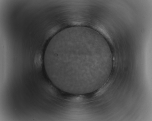 X0000094170116200711161716