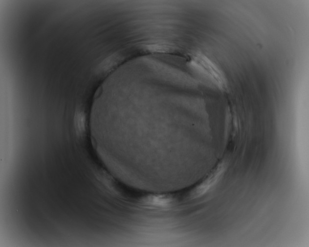 X0000094170117200711161716