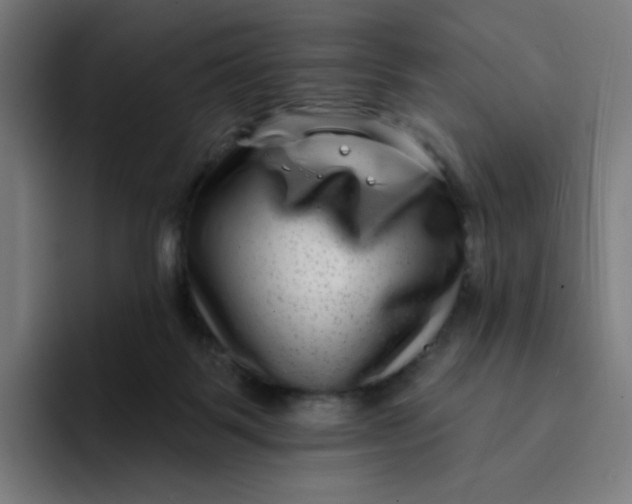 X0000094170123200711161715