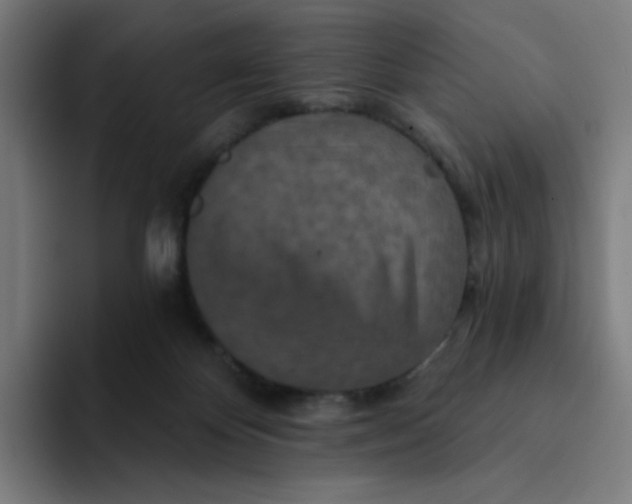 X0000094170124200711161715