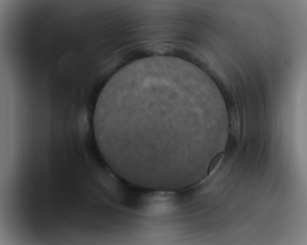 X0000094170128200711161715