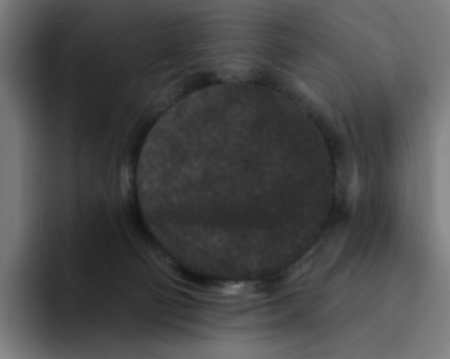 X0000094170130200711161715