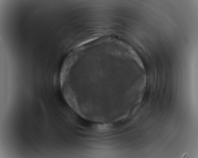 X0000094170134200711161715