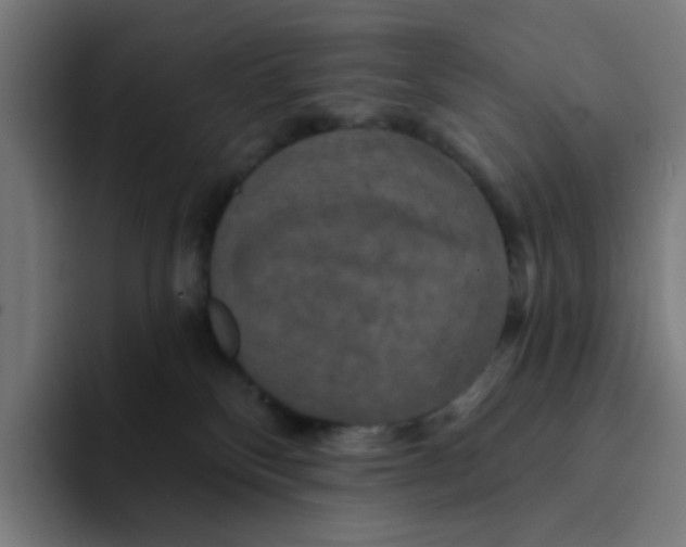 X0000094170136200711161715