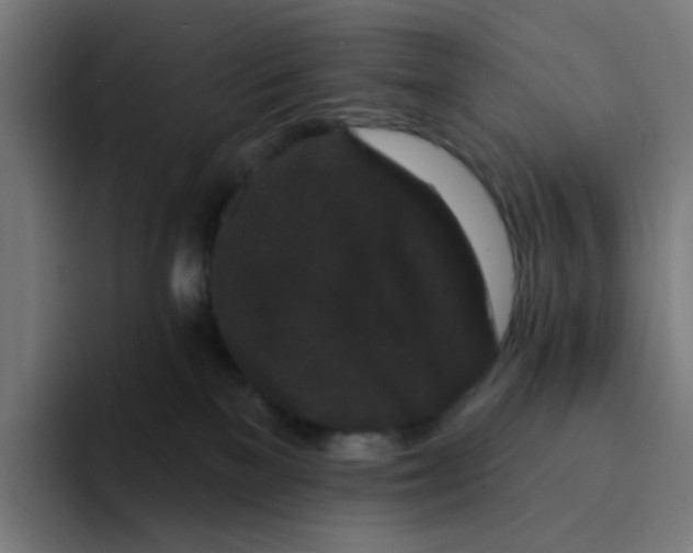 X0000094170137200711161715