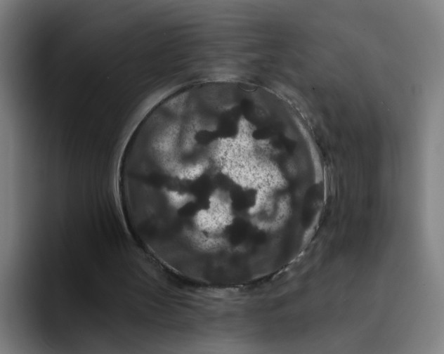 X0000094170147200711161715