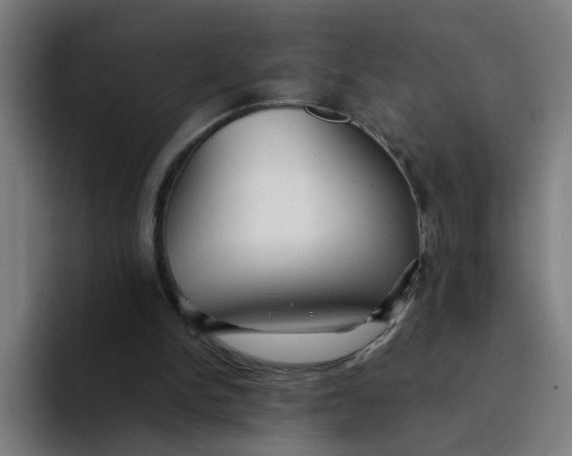 X0000094170150200711161715