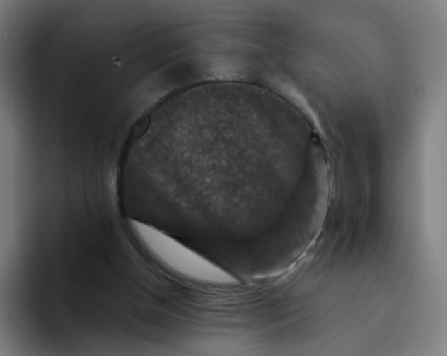 X0000094170154200711161715