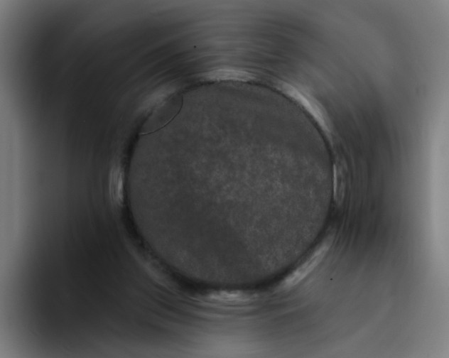 X0000094170157200711161715