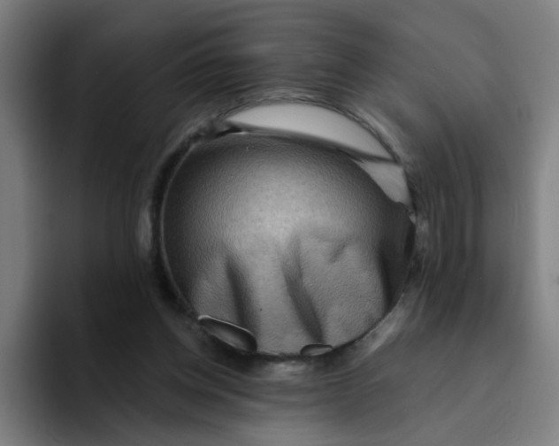 X0000094170158200711161715