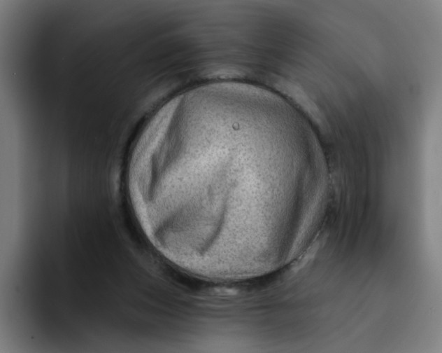 X0000094170159200711161715