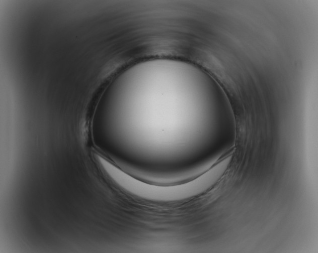 X0000094170160200711161715