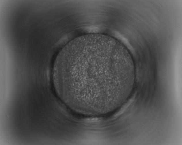 X0000094170161200711161715