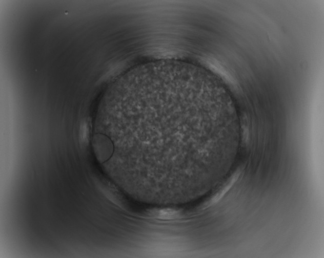 X0000094170165200711161715