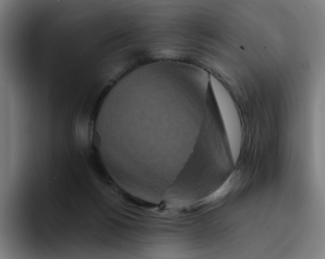 X0000094170168200711161715